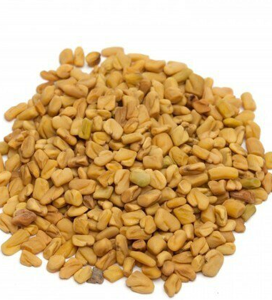 Fenugreek Seed